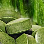 La Chlorella, l’algue qui purifie l’organisme