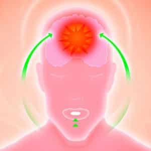 Améliorer la fonction cérébrale avec la phosphatidylcholine