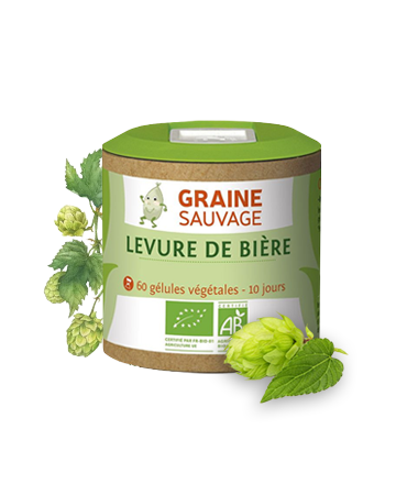 LEVURE DE BIERE