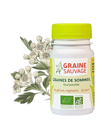 GRAINES DE SOMMEIL